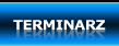 Terminarz